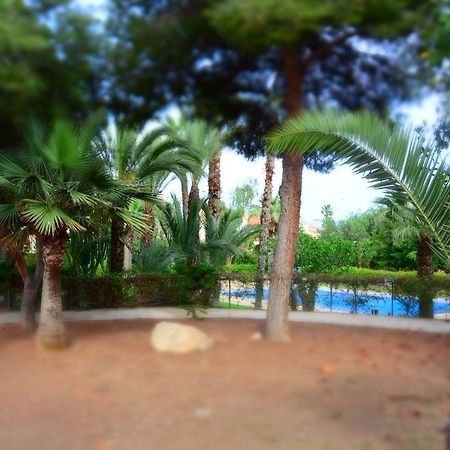 Palmeras, Piscina, Campo De Futbol Y Jardin Privados Mazarrón Exterior foto