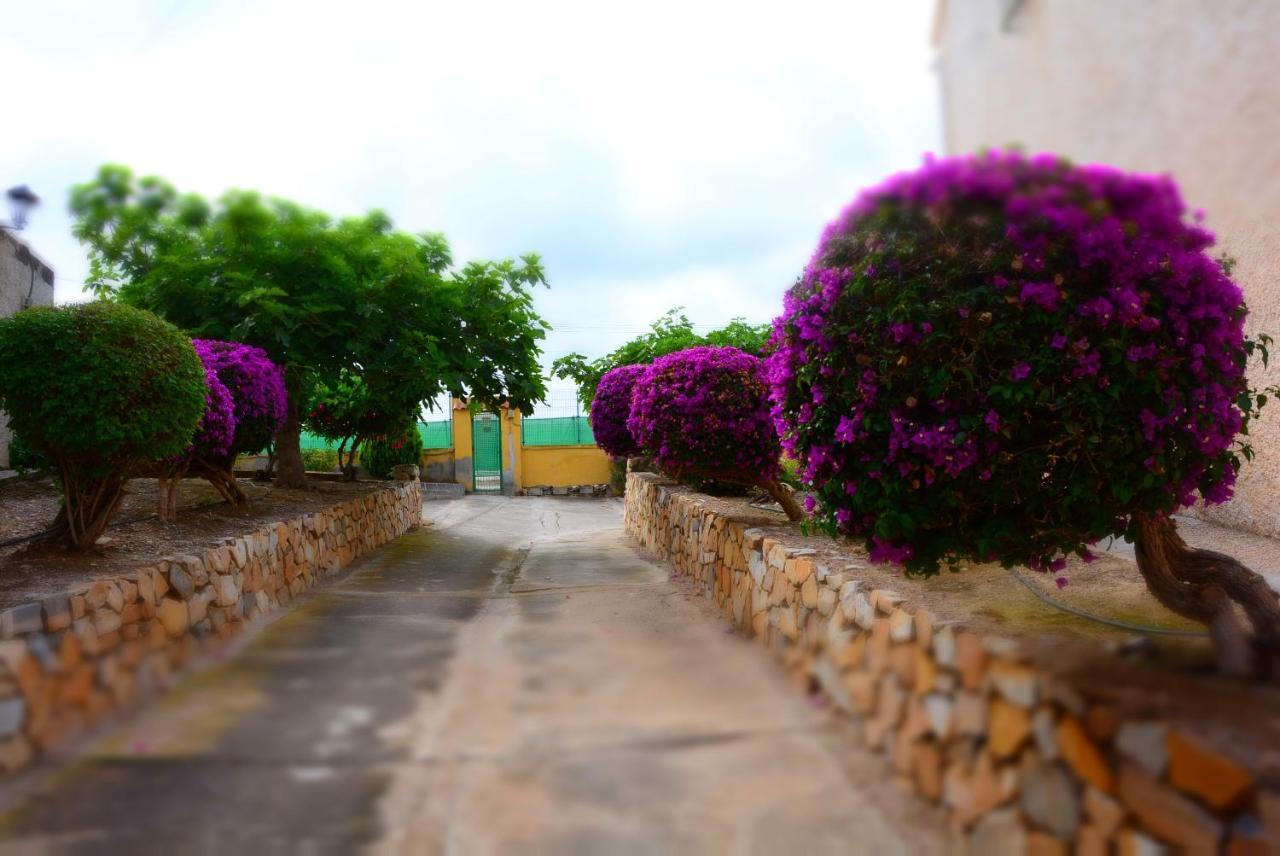 Palmeras, Piscina, Campo De Futbol Y Jardin Privados Mazarrón Exterior foto